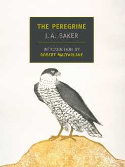 Werner Herzog Peregrine Book